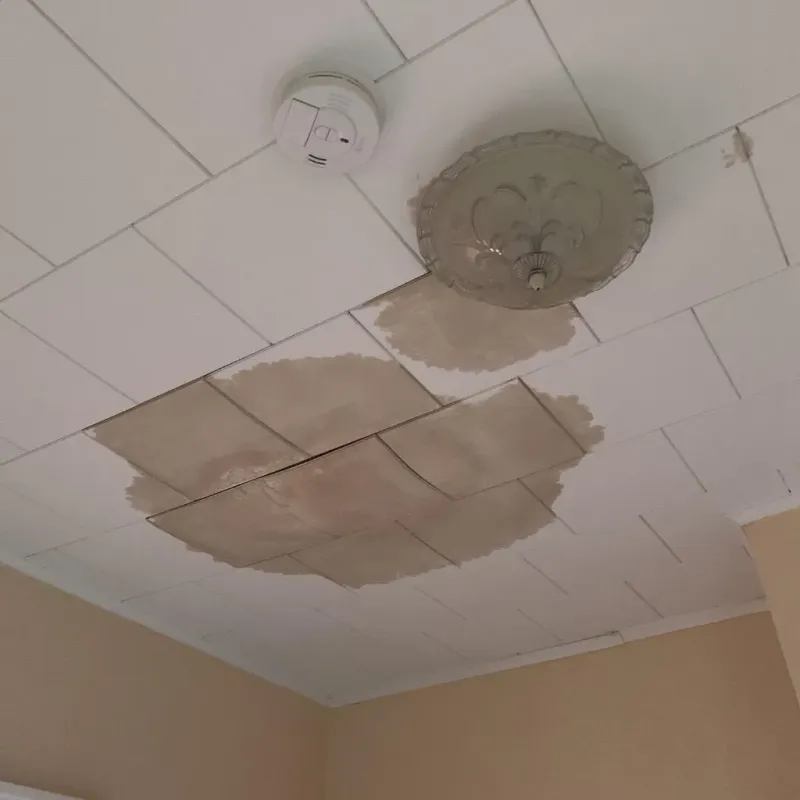 Ceiling Water Damage Repair in Rensselaer County, NY
