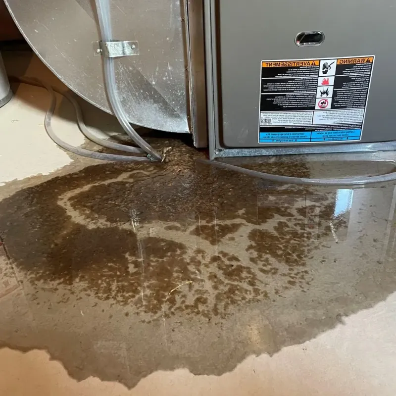 Pipe Burst and Leak Restoration in Rensselaer County, NY