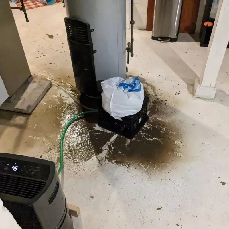 Sewage Backup Cleanup Service in Rensselaer County, NY